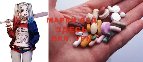 стаф Елизово