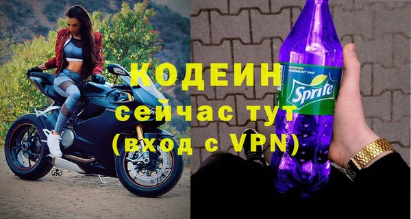 стаф Елизово