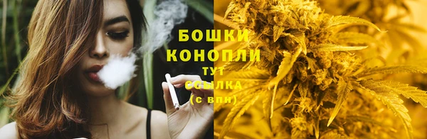 apvp Заволжье