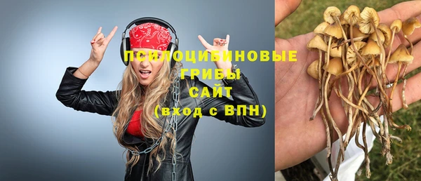 apvp Заволжье