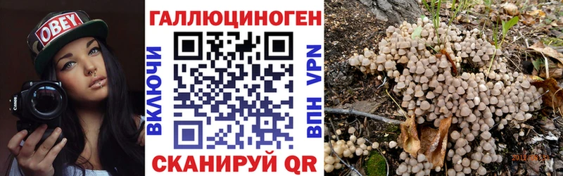 Псилоцибиновые грибы MAGIC MUSHROOMS  Бородино 