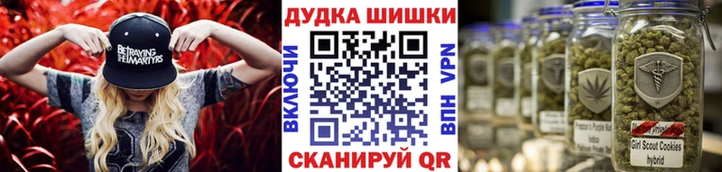 Бошки Шишки MAZAR Бородино
